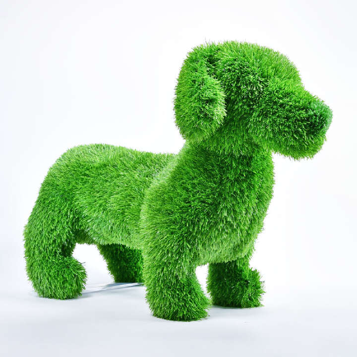 ANIPLANTS Grasfigur Dackel